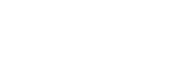 Apollo Partner